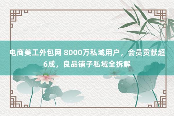 电商美工外包网 8000万私域用户，会员贡献超6成，良品铺子私域全拆解