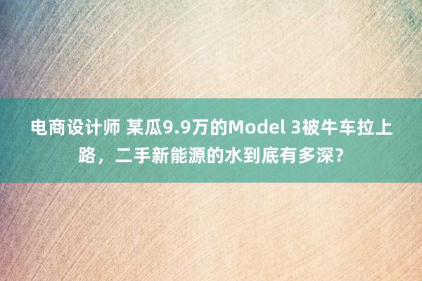 电商设计师 某瓜9.9万的Model 3被牛车拉上路，二手新能源的水到底有多深？